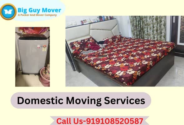 Domestic Packing and Moving Services